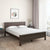 Nilkamal Cipher Solid Wood Queen Bed (Espresso)