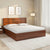 Nilkamal Electra Max Solid Wood Bed With Storage (Walnut)