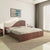 Nilkamal Wave Calipso Queen Bed Without Storage (Classic Plank Walnut)