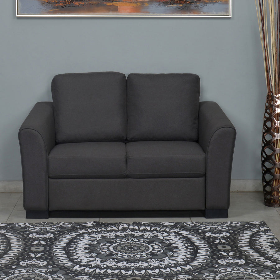 Nilkamal Array 2 Seater Mike Arm Sofa (Dark Grey)