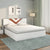 Nilkamal Orion Max Bed With Storage (White)